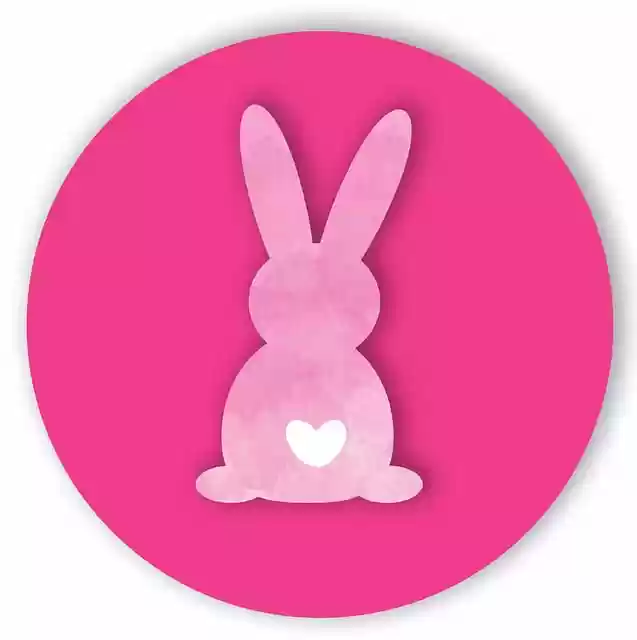 Free download rabbit easter bunny valentine s day free picture to be edited with GIMP free online image editor
