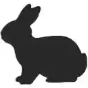 Rabbit Hole for YouTube™  screen for extension Chrome web store in OffiDocs Chromium