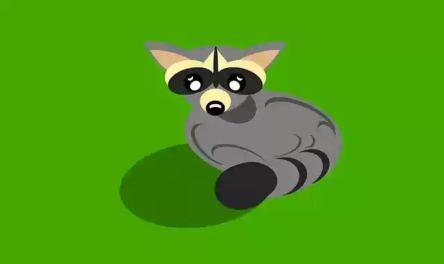 Free download Raccoon Animals Illustration -  free illustration to be edited with GIMP free online image editor