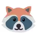 Racoon SEO Link Checker  screen for extension Chrome web store in OffiDocs Chromium