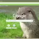 Rai ca song  screen for extension Chrome web store in OffiDocs Chromium
