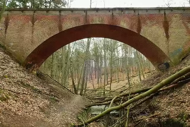 Free download Railway Bridge Forest Torrent -  free photo or picture to be edited with GIMP online image editor