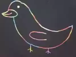 Free download Rainbow Bird free photo or picture to be edited with GIMP online image editor