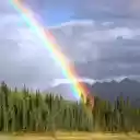 Rainbow of love  screen for extension Chrome web store in OffiDocs Chromium