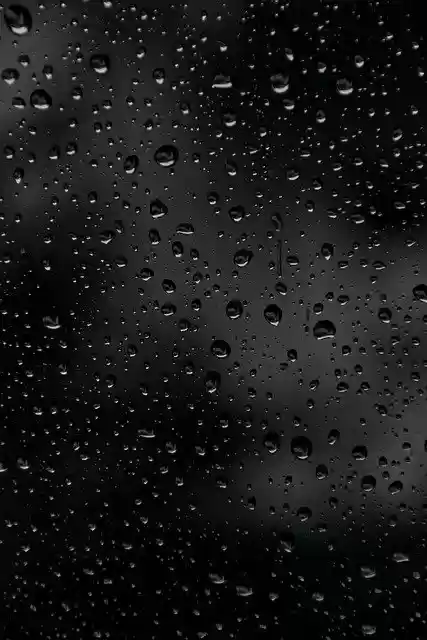 Free download Rain Drip Wet -  free photo or picture to be edited with GIMP online image editor
