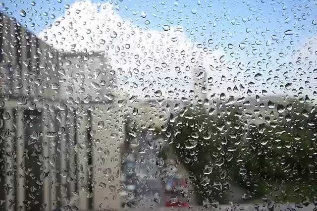 Unduh gratis Rain Drops Of Water - foto atau gambar gratis untuk diedit dengan editor gambar online GIMP