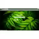 Rain drops on leaf  screen for extension Chrome web store in OffiDocs Chromium