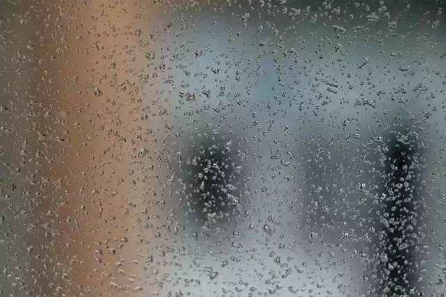 Free download Rain Drops Water -  free photo or picture to be edited with GIMP online image editor