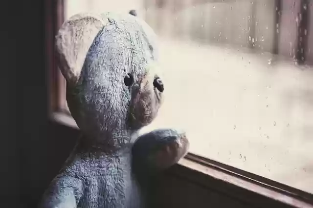 Free download raining teddy bear stuffed toy toy free picture to be edited with GIMP free online image editor