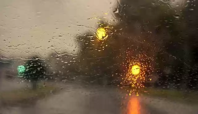 Free download Rain Lights Nature -  free photo or picture to be edited with GIMP online image editor