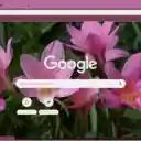 Rain Lily Pink  screen for extension Chrome web store in OffiDocs Chromium