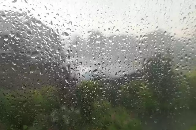 Free download Rain Raindrop Drip -  free photo or picture to be edited with GIMP online image editor