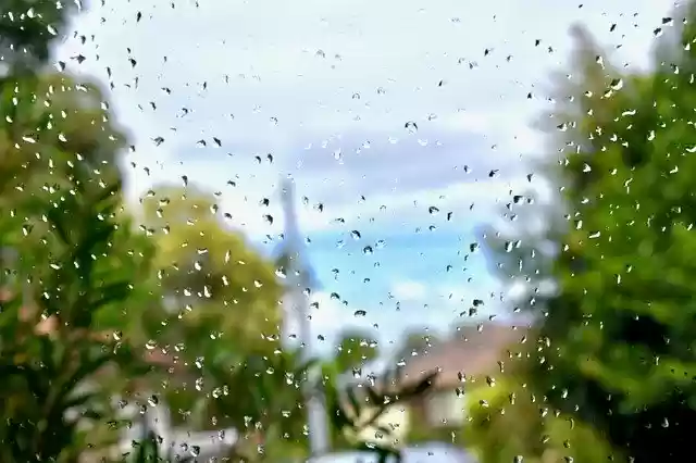 Free download Rain Raindrops Wet -  free photo or picture to be edited with GIMP online image editor