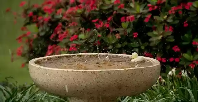 Free download Rain Rainfall Wet -  free photo or picture to be edited with GIMP online image editor