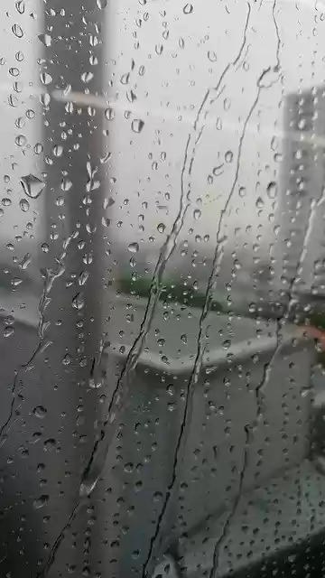 Free download Rain Water Nature -  free free photo or picture to be edited with GIMP online image editor