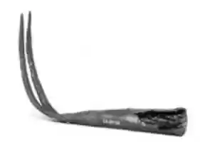 Free download Rake free photo or picture to be edited with GIMP online image editor