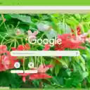 Екран Rangoon Creeper для розширення інтернет-магазину Chrome в OffiDocs Chromium