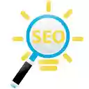 RankBio SEO  Website Analysis  screen for extension Chrome web store in OffiDocs Chromium