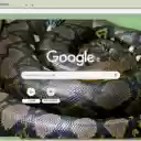 Ran Piton  screen for extension Chrome web store in OffiDocs Chromium