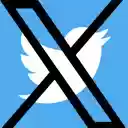Layar RapidReport untuk Twitter untuk ekstensi toko web Chrome di OffiDocs Chromium