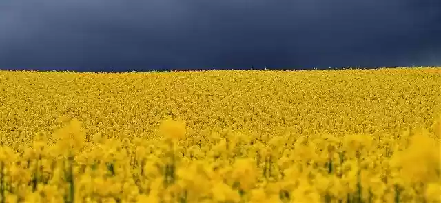 Free download Rappsfeld Thunderstorm Mood -  free photo or picture to be edited with GIMP online image editor