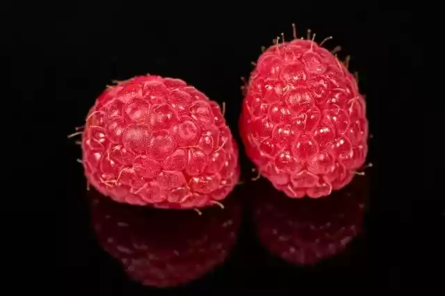 Free download Raspberry Berry Red -  free photo or picture to be edited with GIMP online image editor