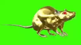 הורדה חינם Rat New Year - סרטון חינם לעריכה עם עורך וידאו מקוון OpenShot