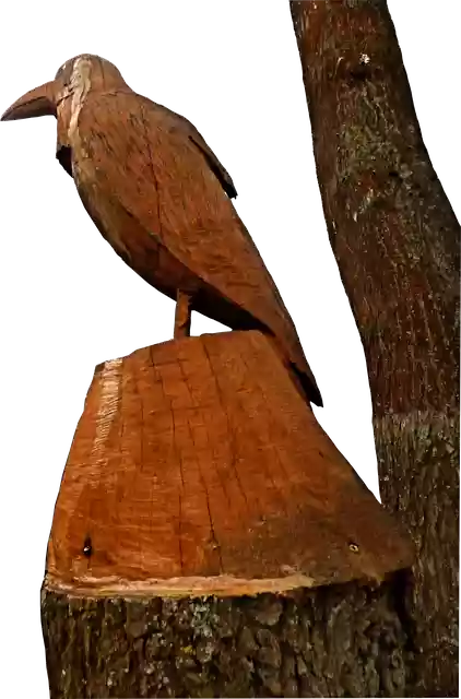 Free download Raven Crow Bird -  free photo or picture to be edited with GIMP online image editor