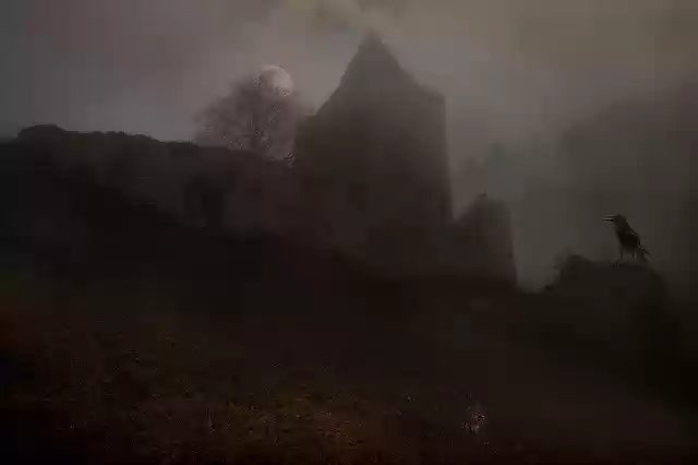 Free download Raven Misty Fantasy -  free free photo or picture to be edited with GIMP online image editor