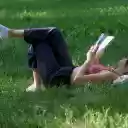 Read a book on the relaxing grass garden  screen for extension Chrome web store in OffiDocs Chromium