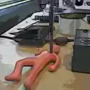 Reading West by Night  screen for extension Chrome web store in OffiDocs Chromium