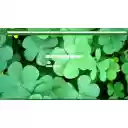 Real Clovers  screen for extension Chrome web store in OffiDocs Chromium