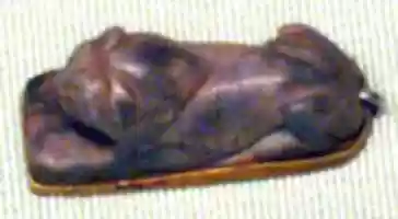 Free download Recumbent Lion from a Bracelet free photo or picture to be edited with GIMP online image editor