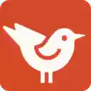 RedArchive 小红书、抖音数据采集器  screen for extension Chrome web store in OffiDocs Chromium