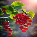 red currants wallpaper  screen for extension Chrome web store in OffiDocs Chromium