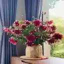 Red dahlias vase wallpaper  screen for extension Chrome web store in OffiDocs Chromium