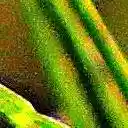 Red Diomond  screen for extension Chrome web store in OffiDocs Chromium