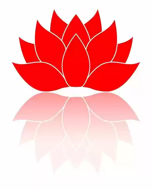 Free download Red Flower Isolated -  free illustration to be edited with GIMP free online image editor