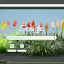 Red Hot Poker  screen for extension Chrome web store in OffiDocs Chromium