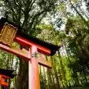 Red Pagoda of a Temple in Kyoto  screen for extension Chrome web store in OffiDocs Chromium