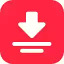 Redpal 小红书笔记无水印下载  screen for extension Chrome web store in OffiDocs Chromium