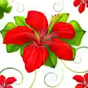 Red Poinsettia Flowers  screen for extension Chrome web store in OffiDocs Chromium