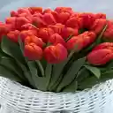 Red tulip bouquet wallpaper  screen for extension Chrome web store in OffiDocs Chromium