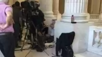 Free download reed-collapse-2019-09-19 free photo or picture to be edited with GIMP online image editor