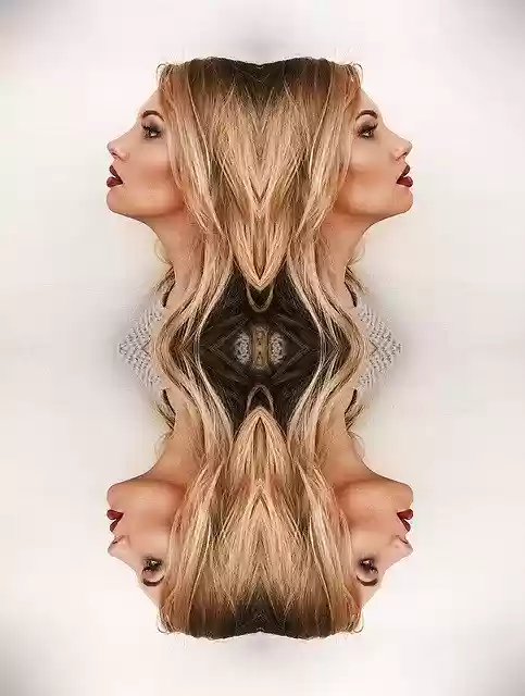 Free download Reflection Woman Profile -  free illustration to be edited with GIMP free online image editor