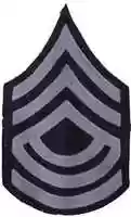 Free download Regimental Sergeant Major,and Other Chevrons, The Great War, 1902-1919 free photo or picture to be edited with GIMP online image editor