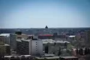 免费下载 regina-3403185_1280 使用 GIMP 在线图像编辑器编辑的免费照片或图片