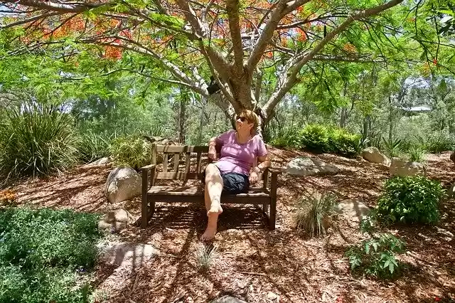 Free download Relax Nature Quiet -  free photo or picture to be edited with GIMP online image editor