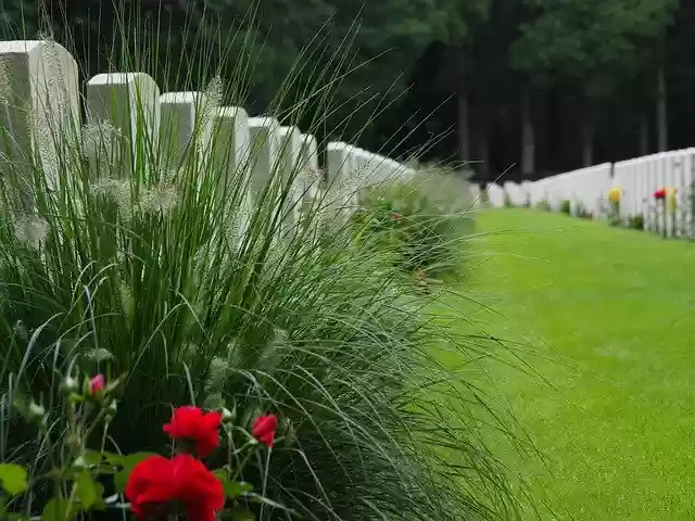 Free download Remembrance Day Park Cemetery -  free free photo or picture to be edited with GIMP online image editor