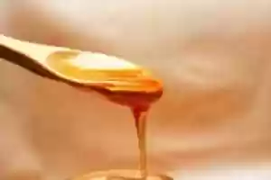 Free download Remesis: Manuka Honey Suppliers Australia free photo or picture to be edited with GIMP online image editor